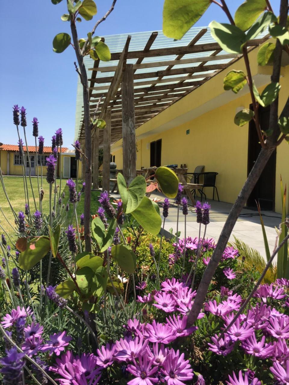 Hotel Quinta San Antonio Nopalucan de la Granja 外观 照片