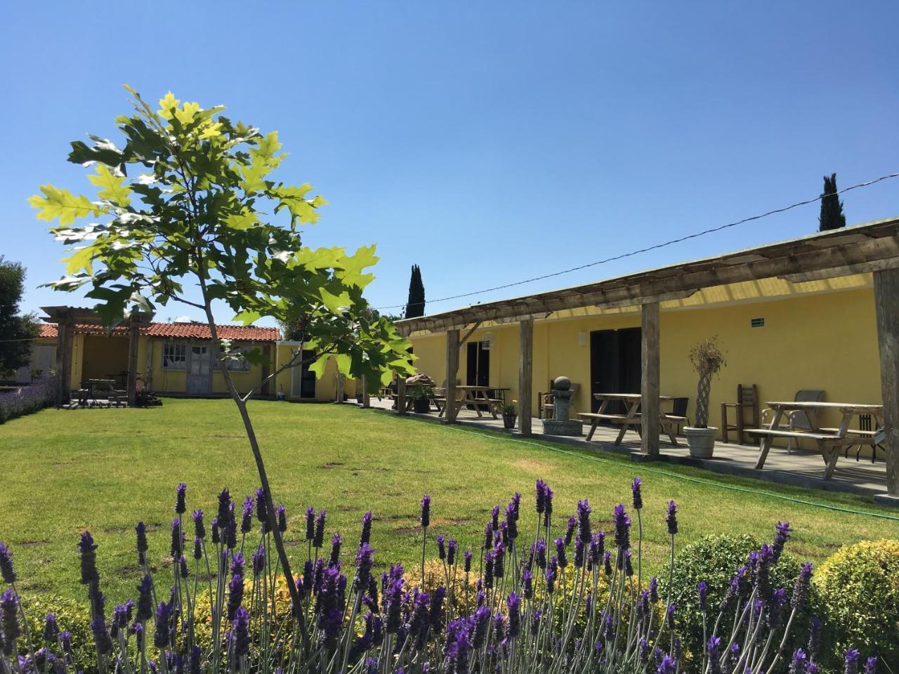 Hotel Quinta San Antonio Nopalucan de la Granja 外观 照片