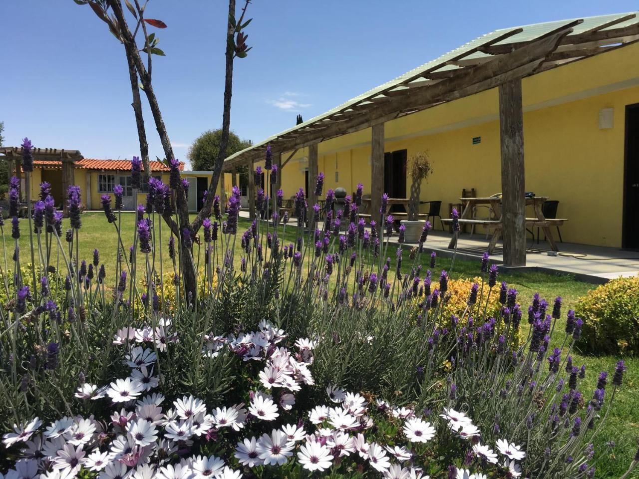 Hotel Quinta San Antonio Nopalucan de la Granja 外观 照片
